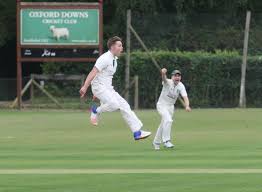 Image result for Oxford Downs Cricket Club