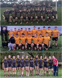 Image result for Winchester Rugby Football Club Ltd