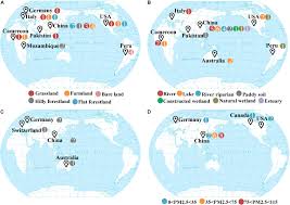 Attēlu rezultāti vaicājumam “Badhamia juliae”