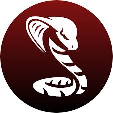 Image result for Cobra Badminton Club