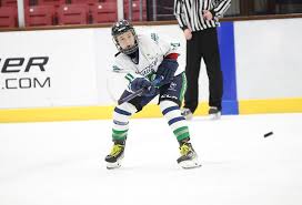 Image result for Kingston Ice Dance Club