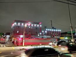 「ソニア・パレス」の画像検索結果