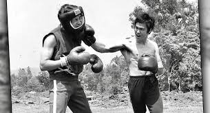 Image result for Somerset Jeet Kune Do
