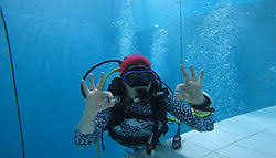 Image result for Woking Junior Snorkelling Club