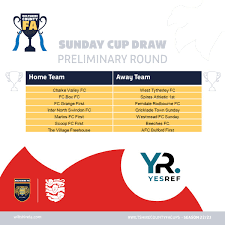 Image result for A F C Rodbourne