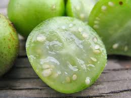 Attēlu rezultāti vaicājumam “Solanum tuberosum”