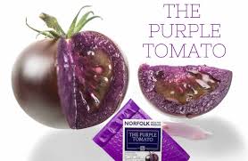 Afbeeldingsresultaat voor 1884 purple tomato