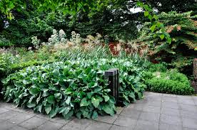 Image result for Mien Ruys