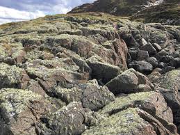 Image result for Scottish Rocks