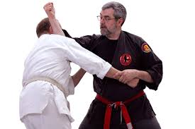 Image result for kyokujitsu Kai