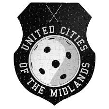 Image result for Basingstoke Demons Floorball Club