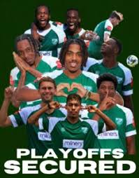 Image result for Leatherhead Football Club
