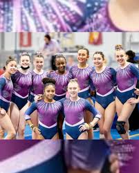 Image result for Custom Gymnastics Club