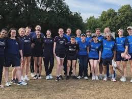 Image result for Long Ditton Cc
