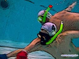 Image result for York Octopush Club