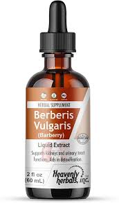 Attēlu rezultāti vaicājumam “Berberis vulgaris”