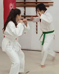 Image result for Kyomeikai Karate Club