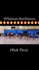 Image result for Platinum Majorettes