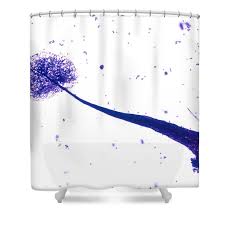 Attēlu rezultāti vaicājumam “Comatricha elegans”