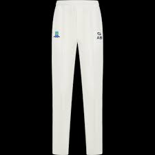 Image result for Theale and Tilehurst Cricket Club