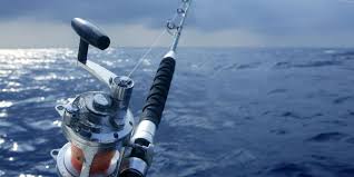 Image result for ALBION SEA FISHING CLUB