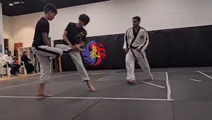 Image result for Moo Sool Academy