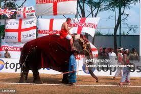 Image result for Cowdrey CC