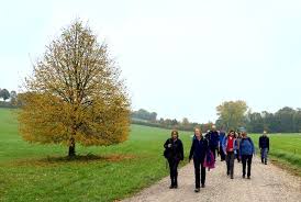 Image result for Loddon Valley Rambling Group