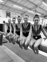 Image result for White Rose Trampoline Academy