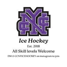 Image result for York University Hockey Club