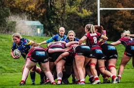 Image result for Exeter Saracens Rugby Football Club