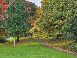 Image result for Greville Smyth Bowls Club