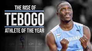 Image result for Tobogo