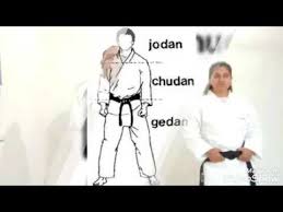Image result for Jodan Karate