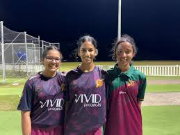 Image result for Portland Red Triangle Cricket Club