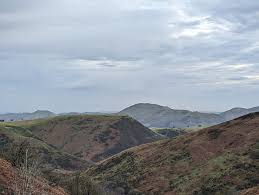 Image result for Long Mynd