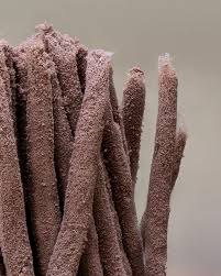 Attēlu rezultāti vaicājumam “Stemonitis herbatica macro”