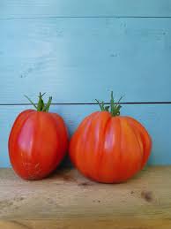 Afbeeldingsresultaat voor oranje van goeienbier tomato