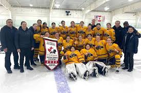 Image result for Mid Surrey Ladies Hockey Club