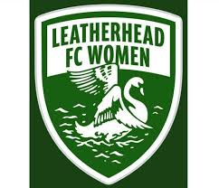 Image result for Leatherhead Football Club