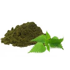 Attēlu rezultāti vaicājumam “Urtica dioica leaf”