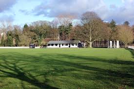 Image result for Buscot Park Cricket Club