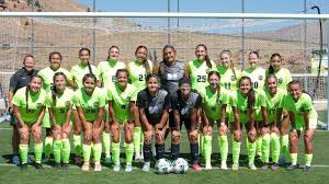 Image result for Meadows Sports Association