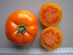 Afbeeldingsresultaat voor caro rich tomato