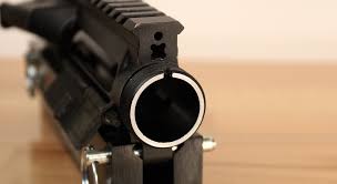 Attēlu rezultāti vaicājumam “Lopinga achine upperside”