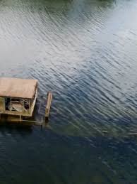 Image result for Wraysbury Dragons