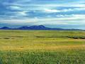 Grassland : Mission: Biomes