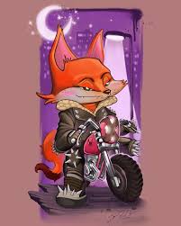 Image result for biker fox