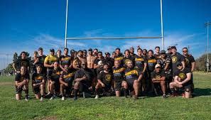 Image result for Lowca Amateur Rugby League Football Club