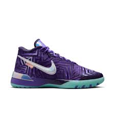 Image result for lebron james shoes